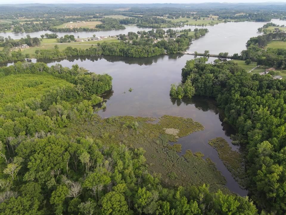 0 Lunker Lane Dayton, TN 37321 - Photo 14 of 26 an aerial view of lake residential house with outdoor space and trees around