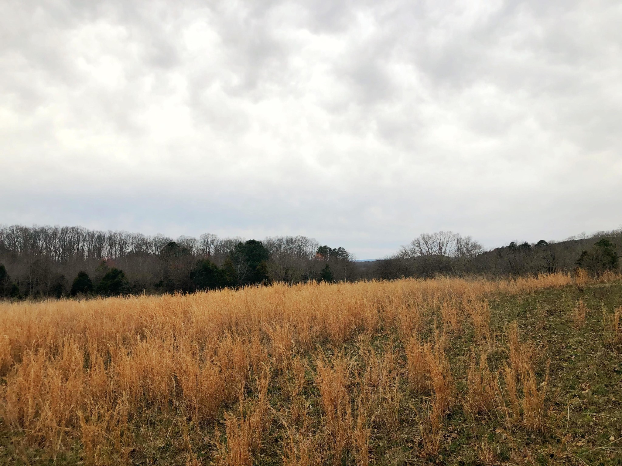 0 Lunker Lane Dayton, TN 37321 - Photo 15 of 26 a view of lake and mountain