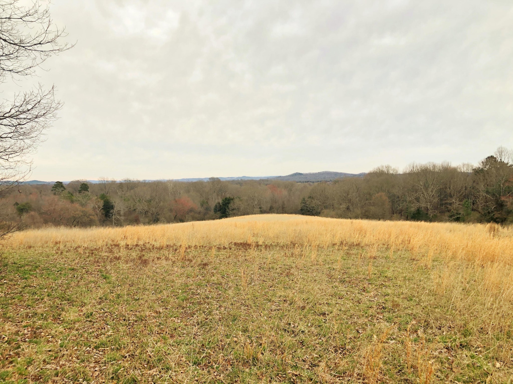 0 Lunker Lane Dayton, TN 37321 - Photo 16 of 26 a view of an ocean