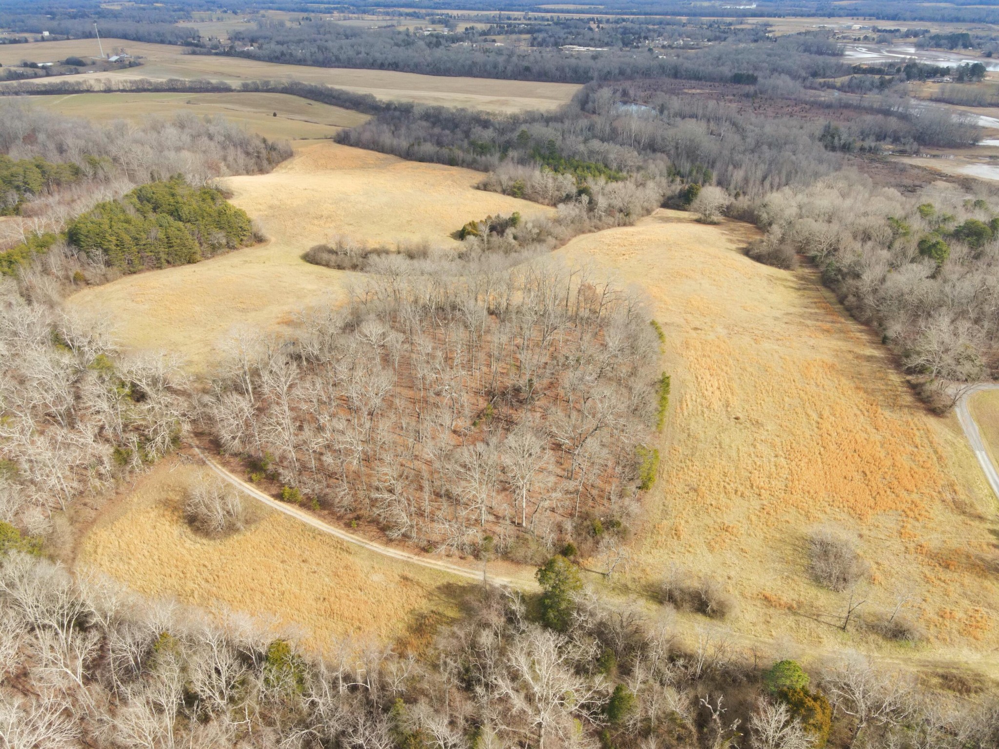 0 Lunker Lane Dayton, TN 37321 - Photo 18 of 26 a view of a lake view