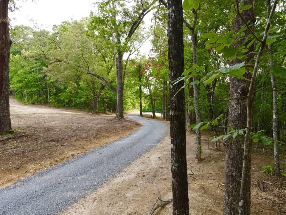 0 Lunker Lane Dayton, TN 37321 - Photo 2 of 26 a view of a road with plants and trees beside of it