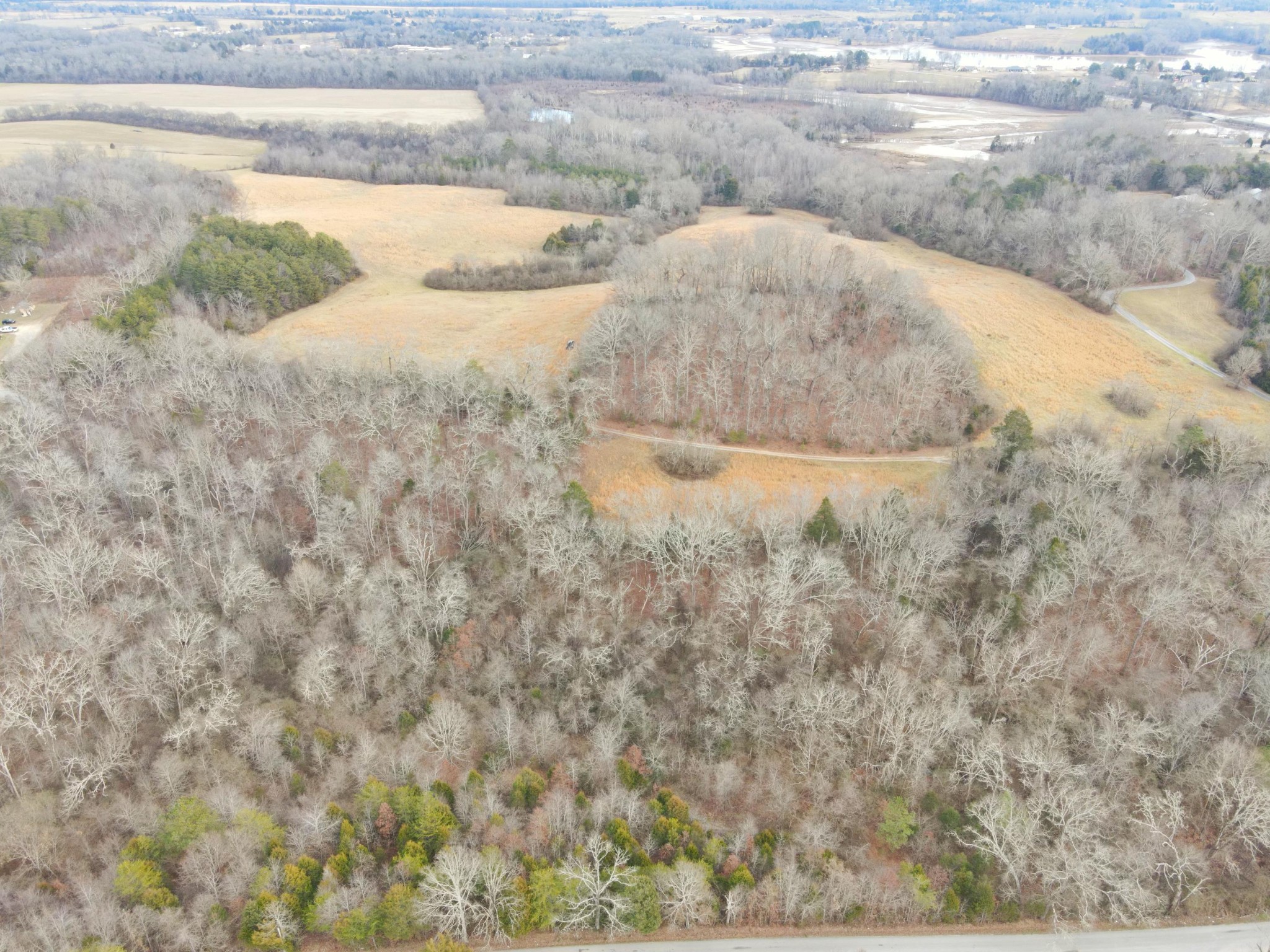 0 Lunker Lane Dayton, TN 37321 - Photo 23 of 26 a view of a dry yard