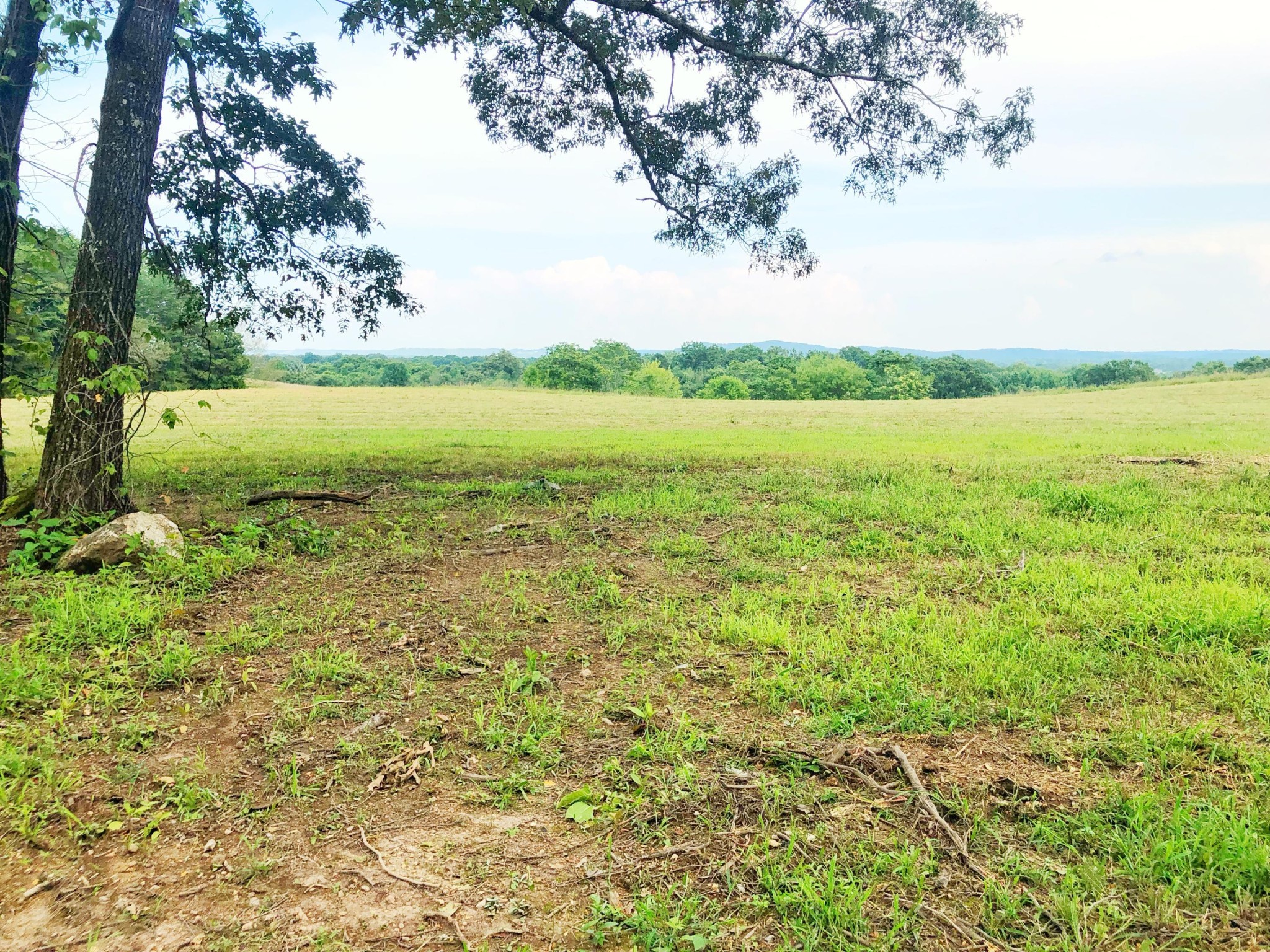 0 Lunker Lane Dayton, TN 37321 - Photo 4 of 26 a view of a lake with a yard