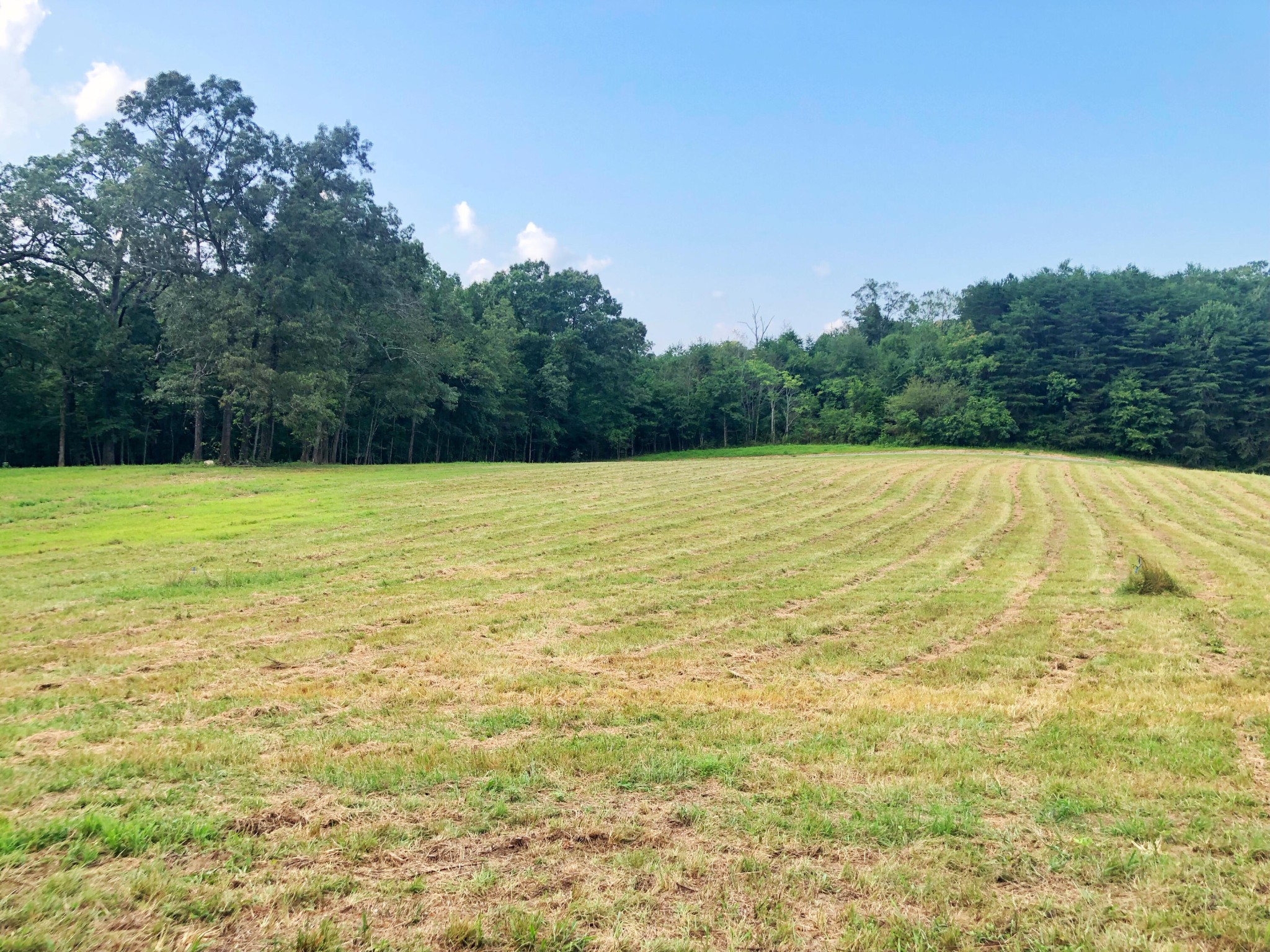 0 Lunker Lane Dayton, TN 37321 - Photo 5 of 26 a view of an ocean