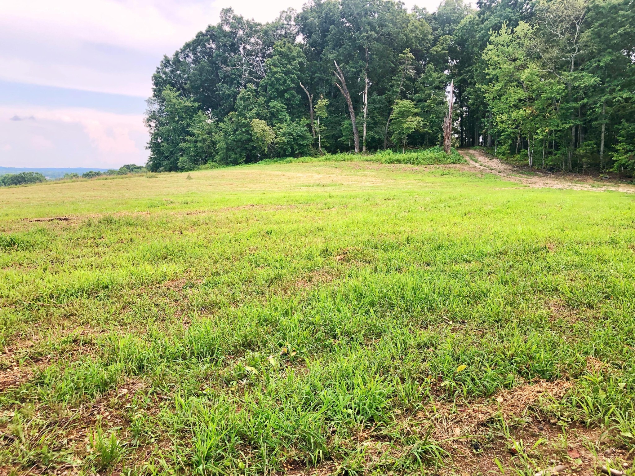 0 Lunker Lane Dayton, TN 37321 - Photo 6 of 26 a view of outdoor space and yard