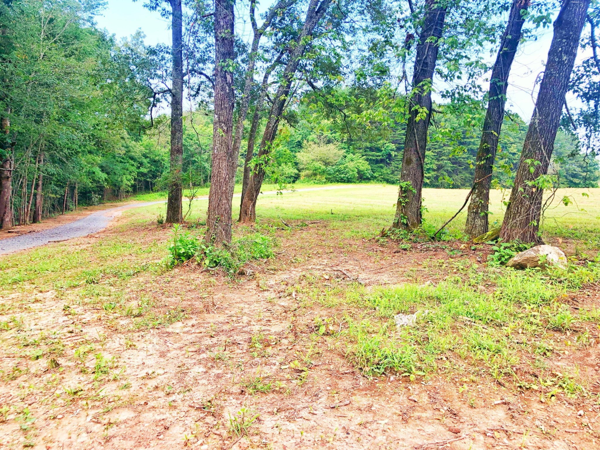 0 Lunker Lane Dayton, TN 37321 - Photo 8 of 26