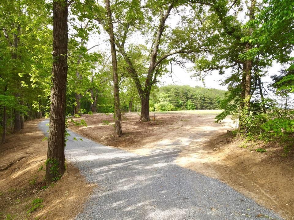 0 Lunker Lane Dayton, TN 37321 - Photo 9 of 26 a view of a yard with plants and trees