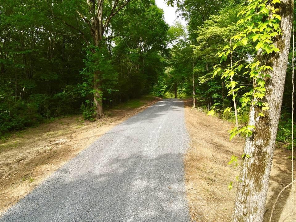 0 Lunker Lane Dayton, TN 37321 - Photo 10 of 26 a view of a yard with plants and trees