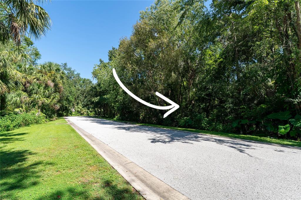 4706 Rambling River Road Brandon, FL 33511 - Photo 12 of 16 a view of a park with a slide