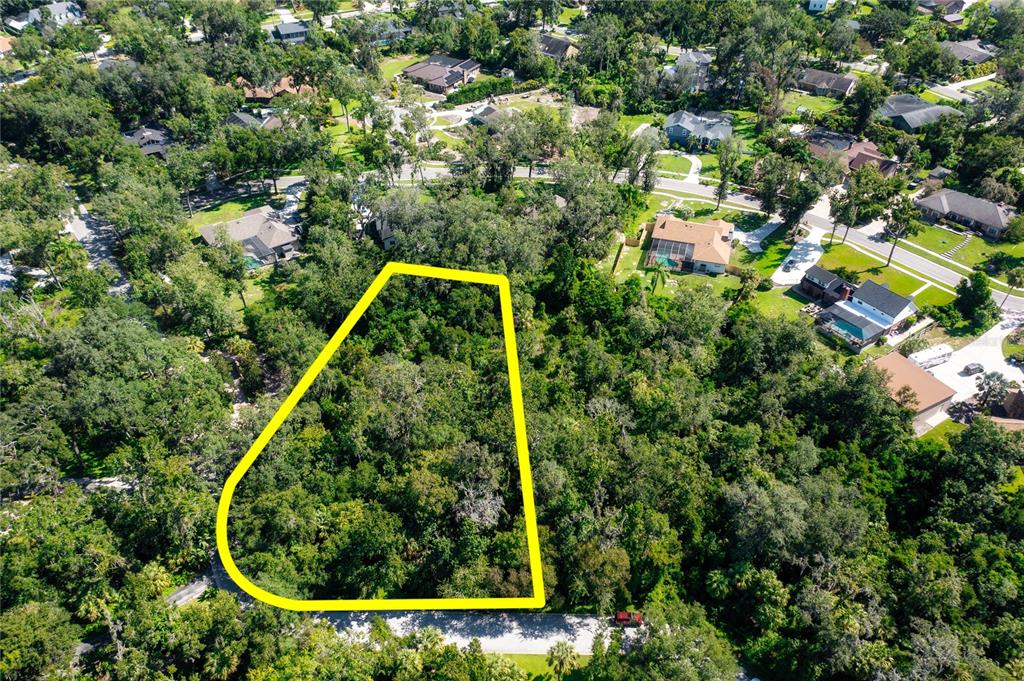 4706 Rambling River Road Brandon, FL 33511 - Photo 2 of 16 a view of a backyard with plants