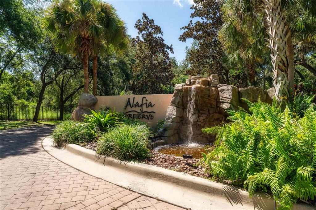 4706 Rambling River Road Brandon, FL 33511 - Photo 3 of 16 a view of a garden with plants and trees