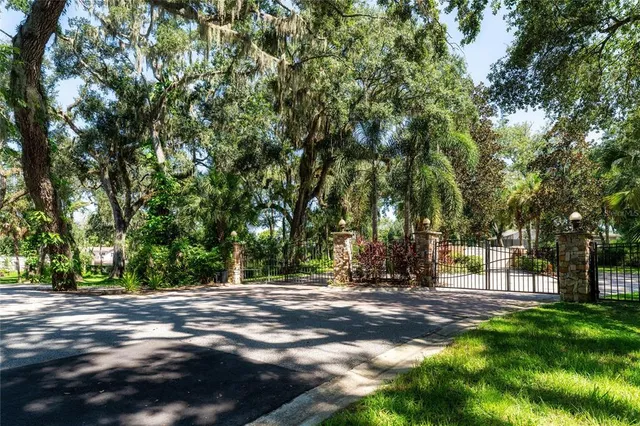 a view of a back yard
