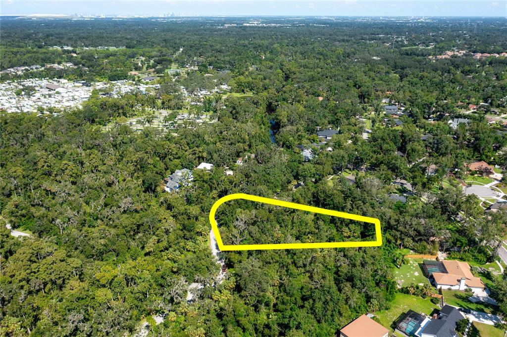 4706 Rambling River Road Brandon, FL 33511 - Photo 7 of 16 a view of a back yard