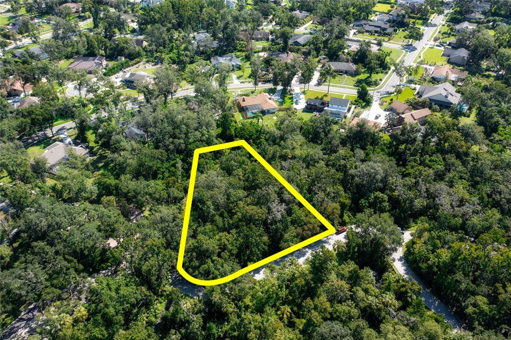 4706 Rambling River Road Brandon, FL 33511 - Photo 8 of 16 a view of a yard with a tree