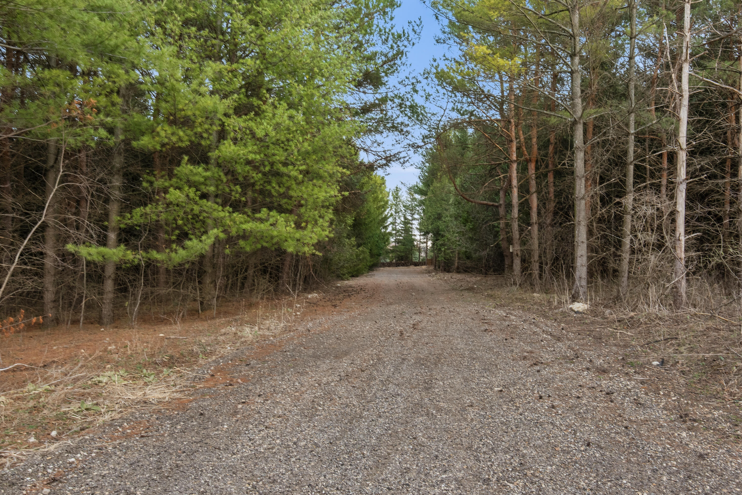 N62-w28522 Rybeck Road Merton, WI 53029 - Photo 11 of 18 tree lined driveway
