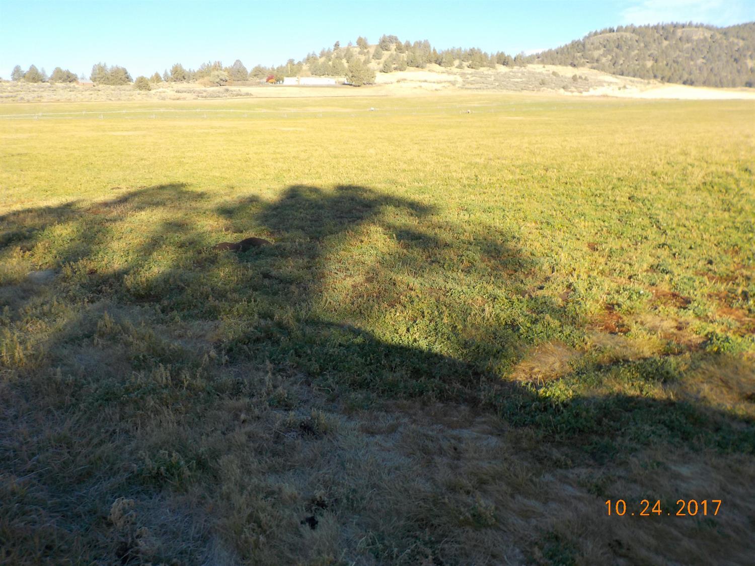 1 Paygr Way Merrill, OR 97633 - Photo 2 of 8 Additional Photo
