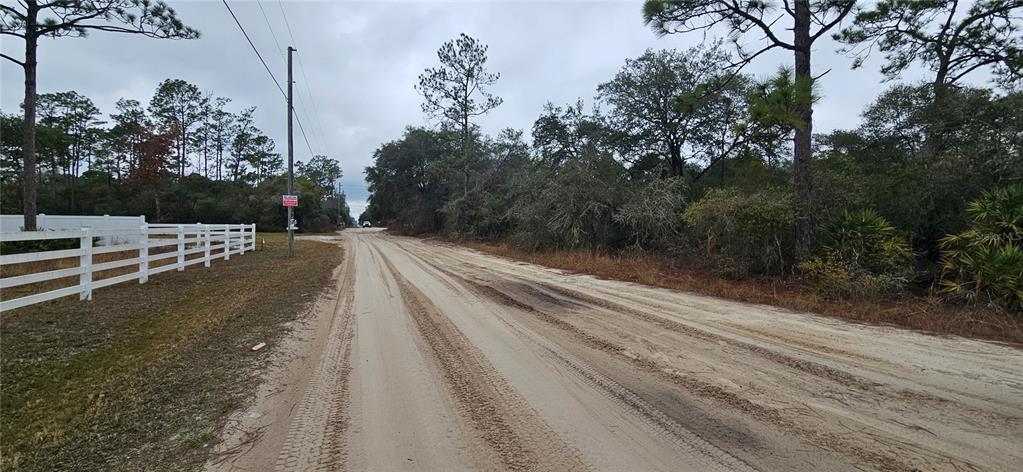 Southwest 155th Street Dunnellon, FL 34432 - Photo 4 of 6 a view of a yard