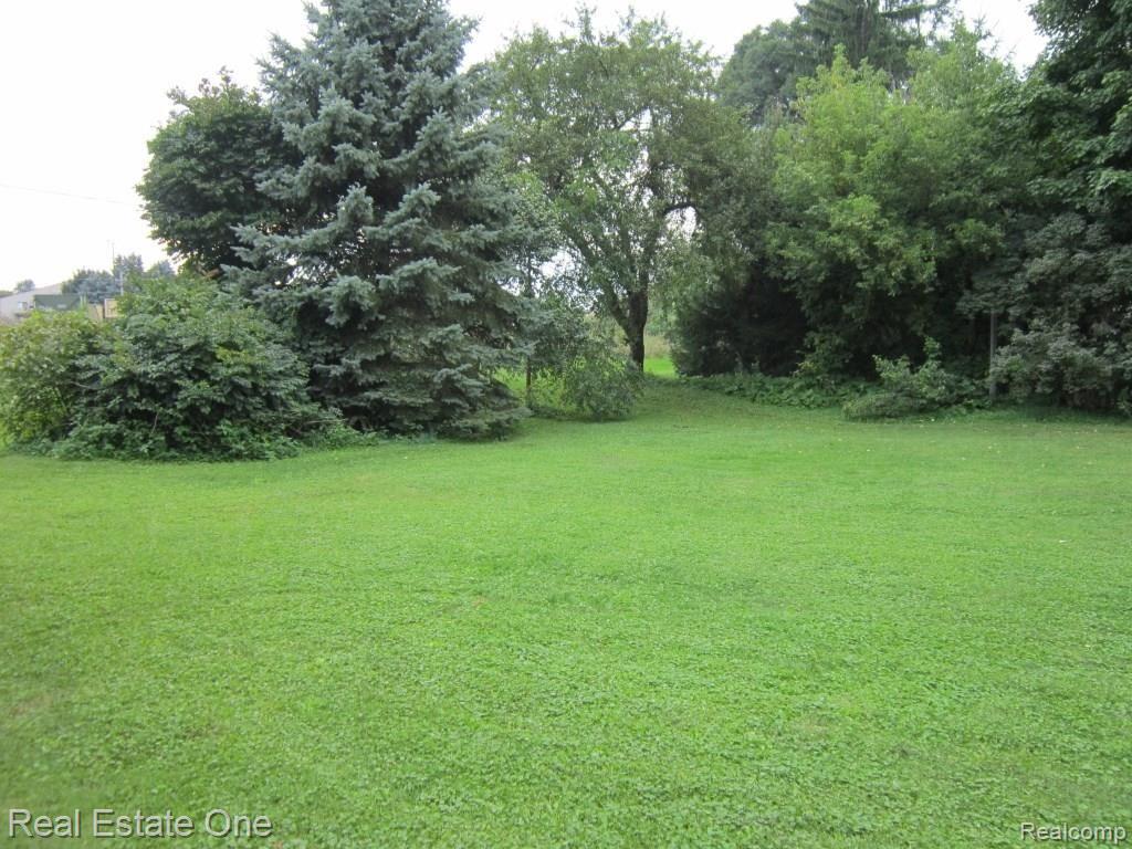 335 Maple Street Howell, MI 48843 - Photo 45 of 47 yard.jpg