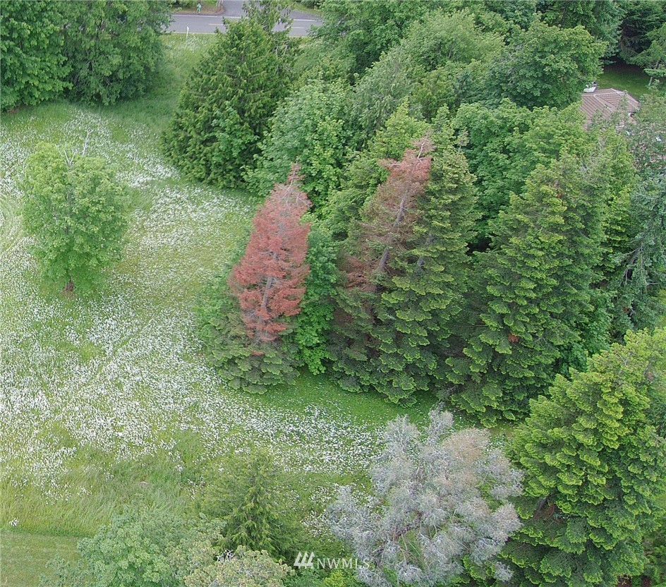 4 Fox Hollow Road Sequim, WA 98382 - Photo 14 of 17 Gallery Image 14