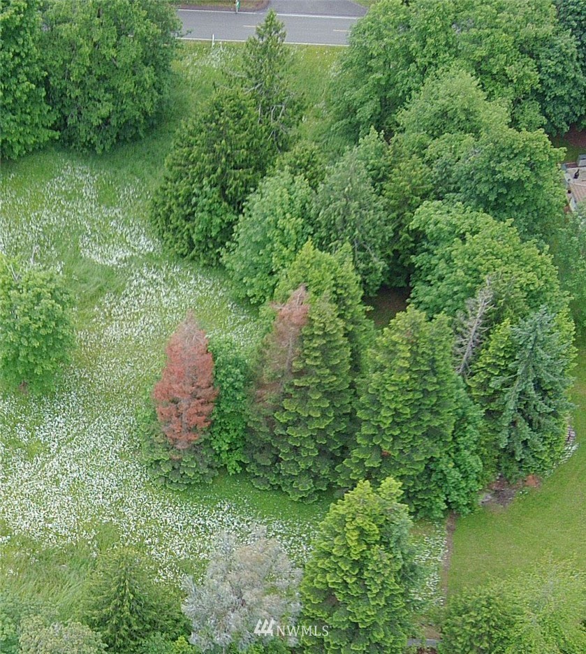 4 Fox Hollow Road Sequim, WA 98382 - Photo 15 of 17 Gallery Image 15