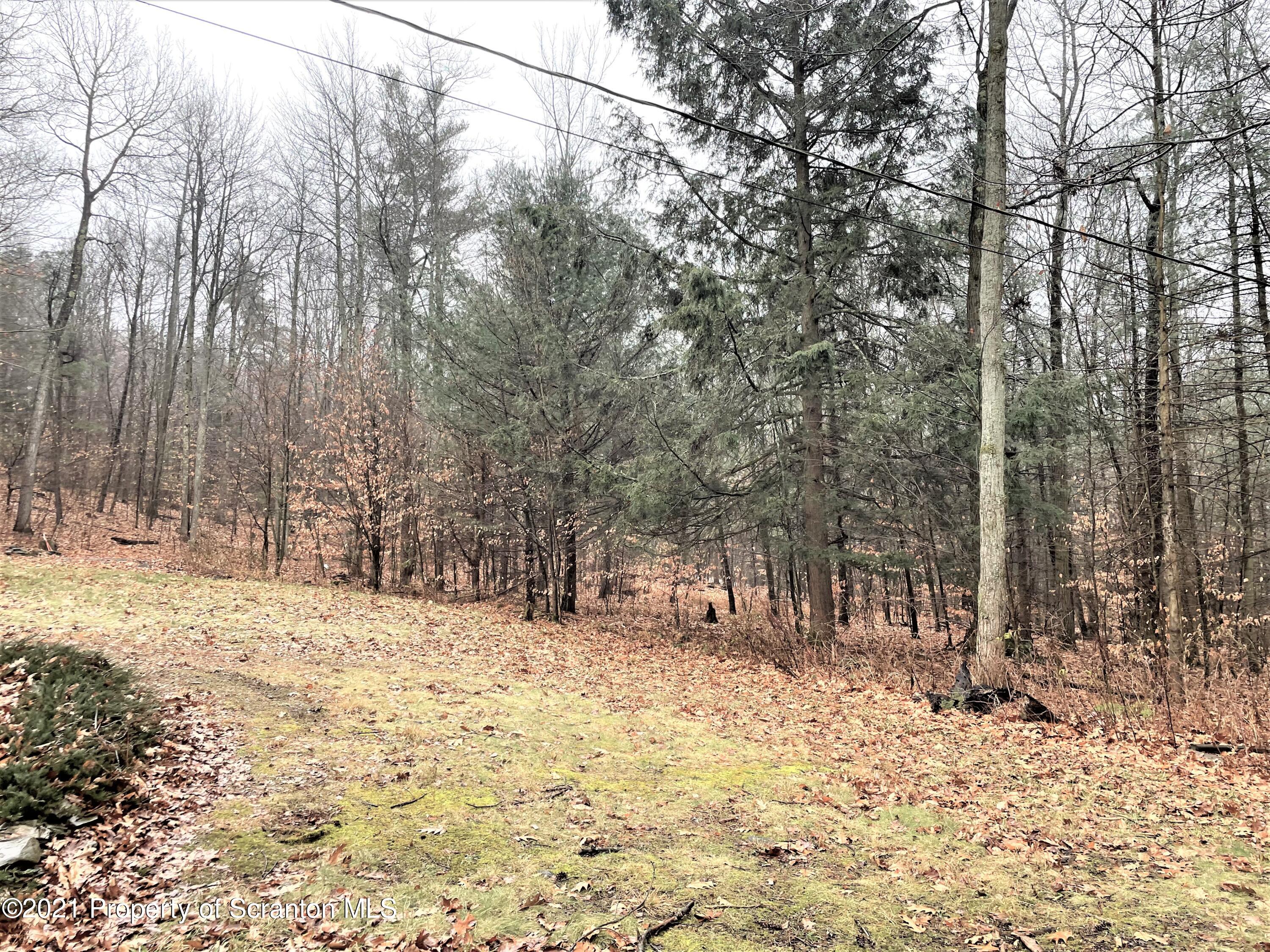 3668 Lake O Meadows Road Little Meadows, PA 18830 - Photo 8 of 43 Gallery Image 8