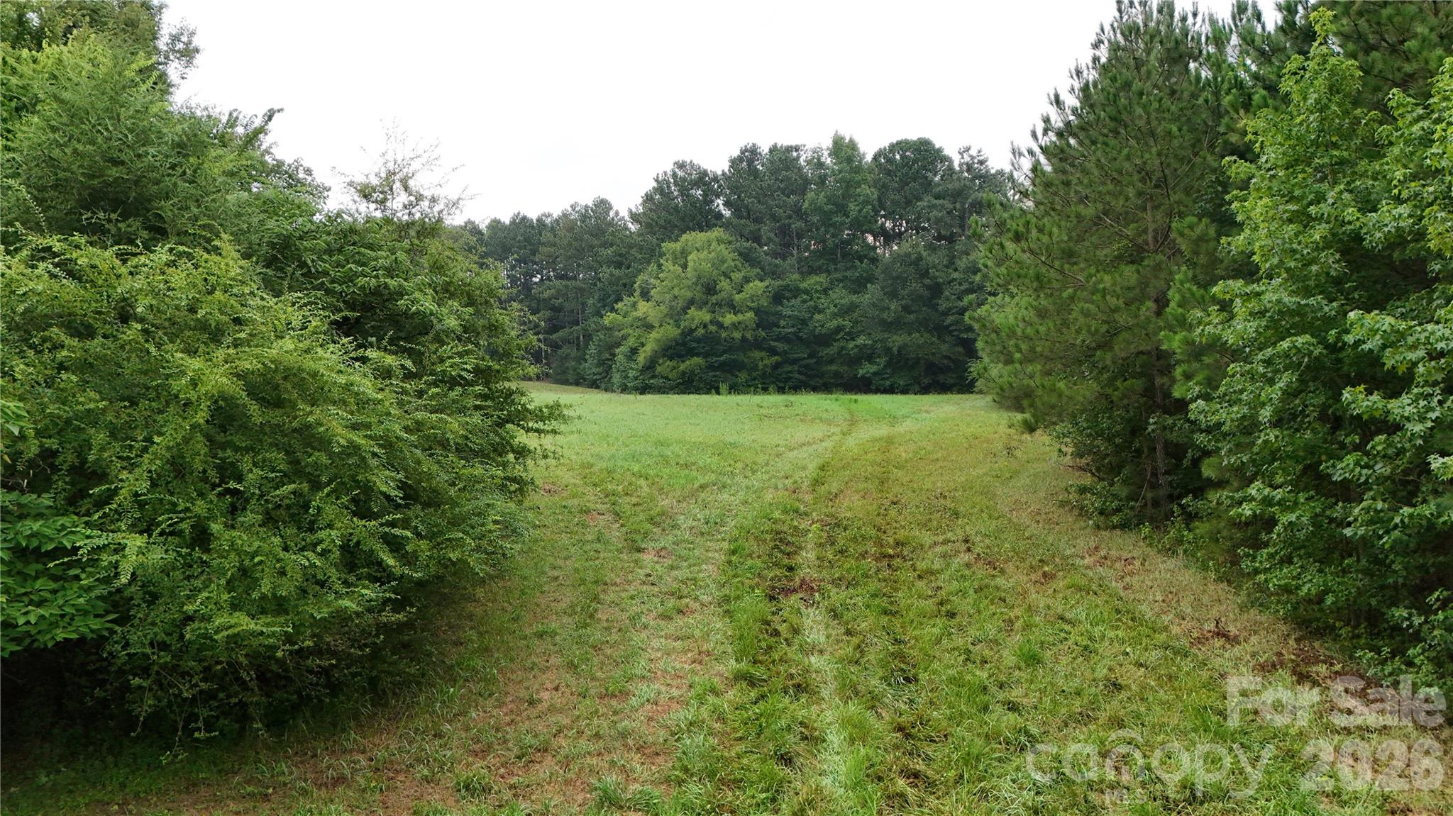 0 West Chappell Road McConnells, SC 29726 - Photo 6 of 35 Gallery Image 6