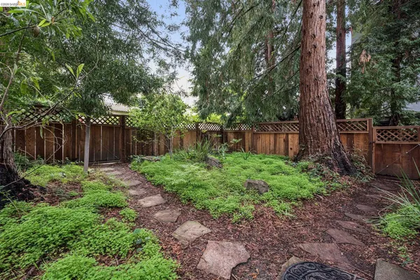 a front view of a house with a tree