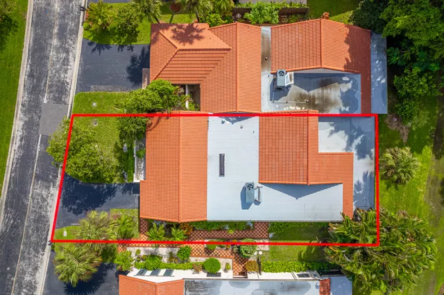 a view of a park with large trees