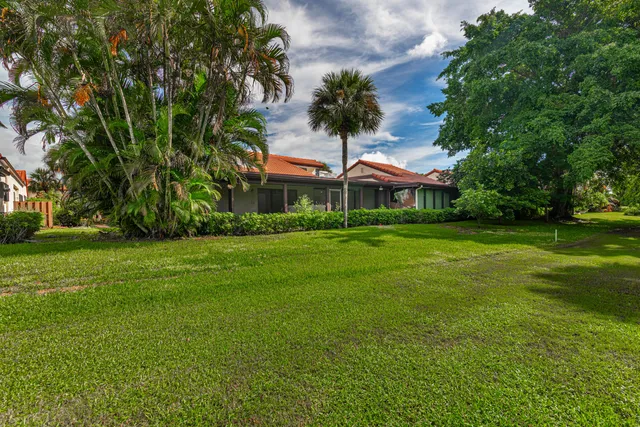 a view of a park with large trees