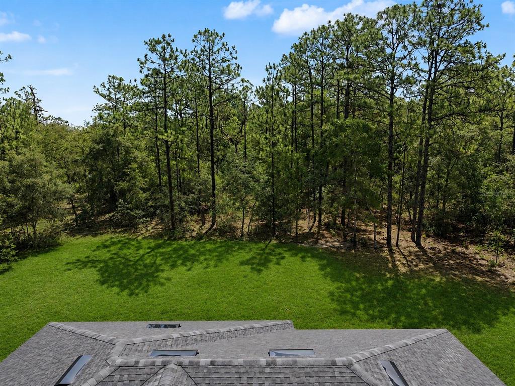 7945 North Ibsen Drive Citrus Springs, FL 34433 - Photo 48 of 51
