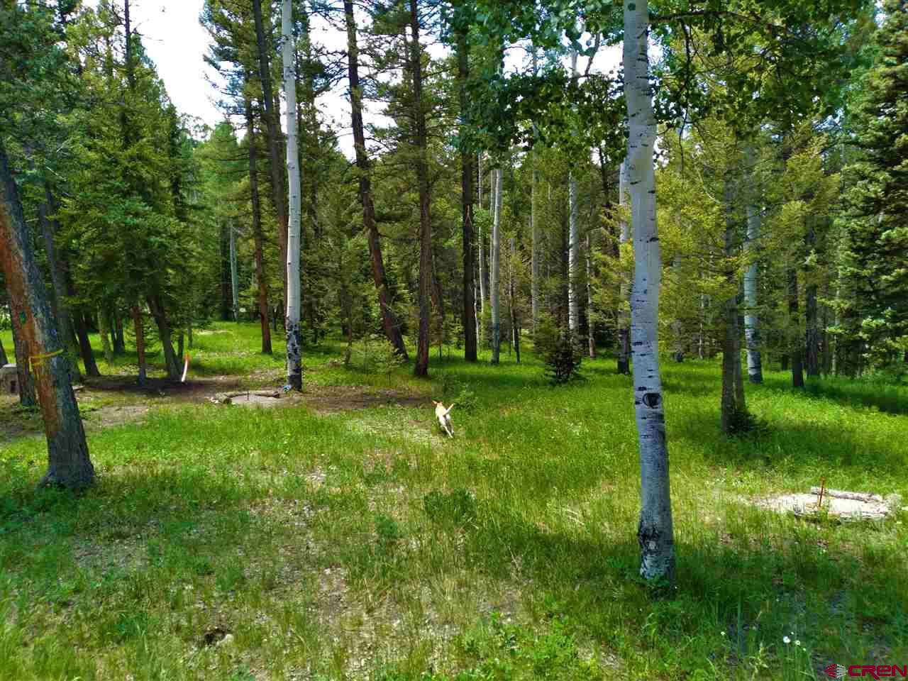 451 Rim Road Cimarron, CO 81220 - Photo 6 of 16 Gallery Image 6