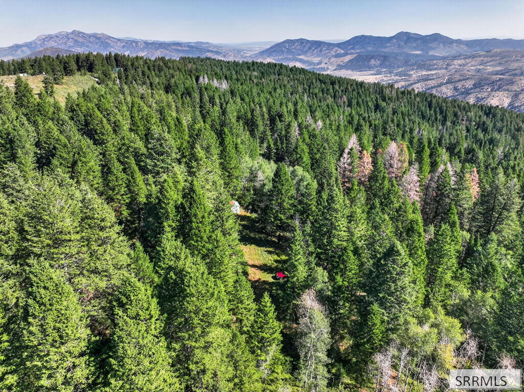 Tbd Coyote Run Lava Hot Springs, ID 83246 - Photo 11 of 22 Gallery Image 11