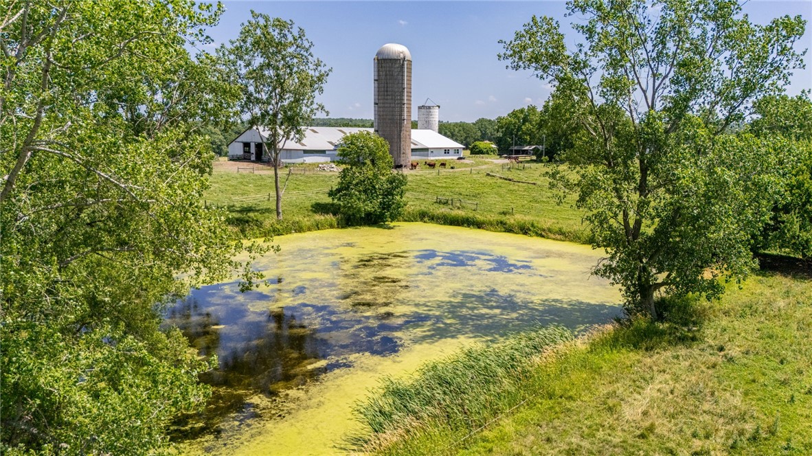 4599 Papermill Road Avon, NY 14414 - Photo 40 of 49 Pond