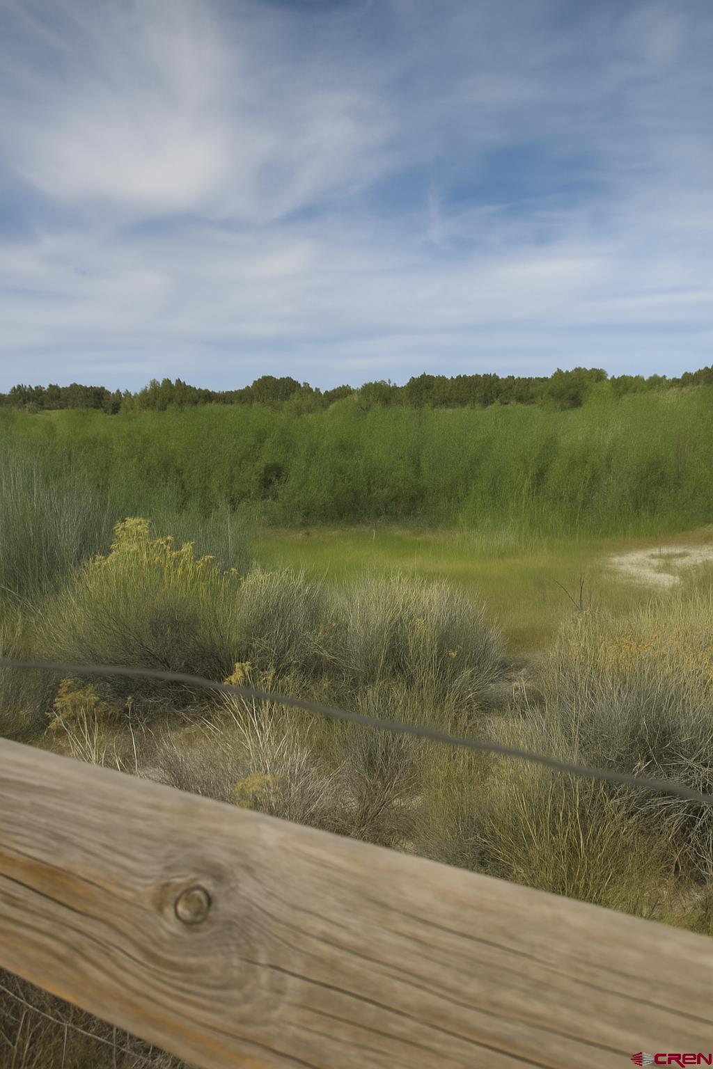 21769 Rd V Lewis, CO 81327 - Photo 13 of 15