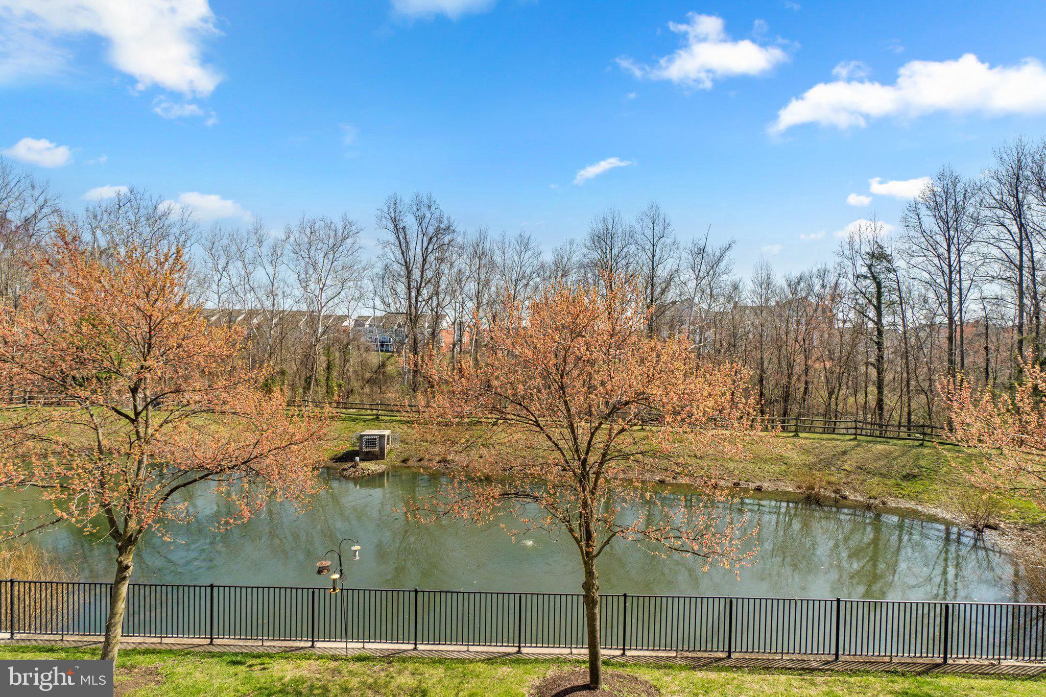 7076 Water Oak Road, Unit 196 Elkridge, MD 21075 - Photo 18 of 31 Back yard