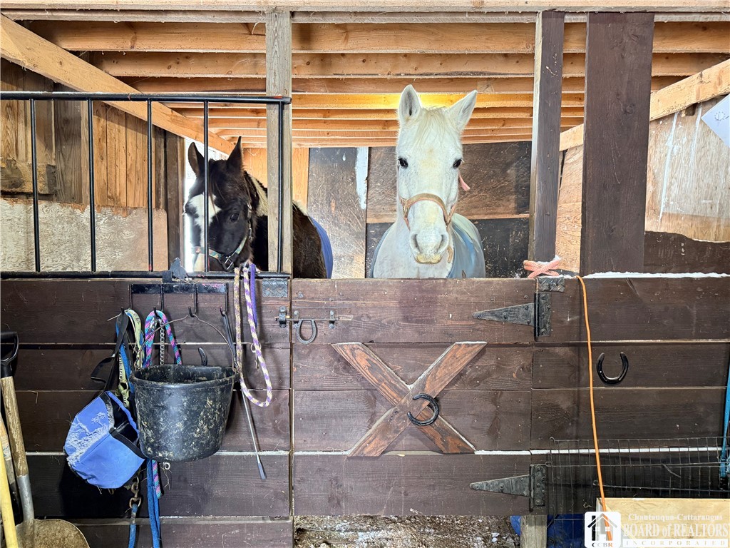 8845 Liebler Hill Road Little Valley, NY 14755 - Photo 13 of 36