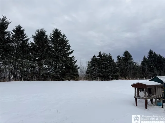 $272,000 | 8845 Liebler Hill Road, Little Valley, NY 14755