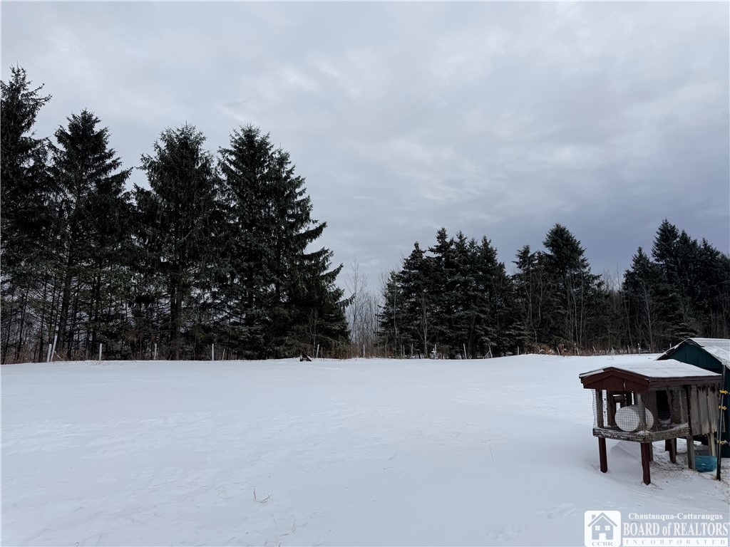 8845 Liebler Hill Road Little Valley, NY 14755 - Photo 34 of 36