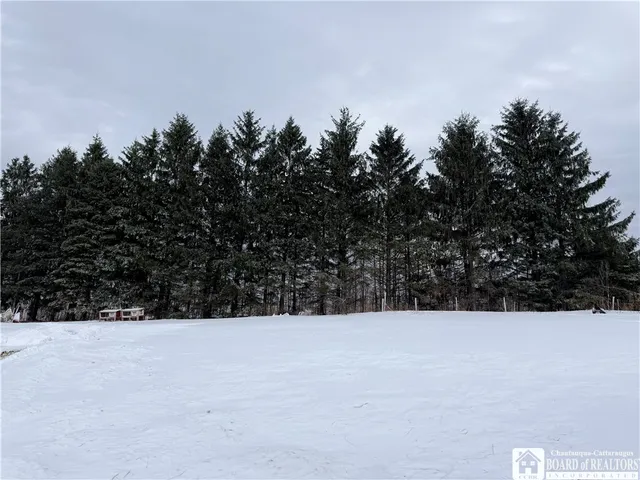 $272,000 | 8845 Liebler Hill Road, Little Valley, NY 14755