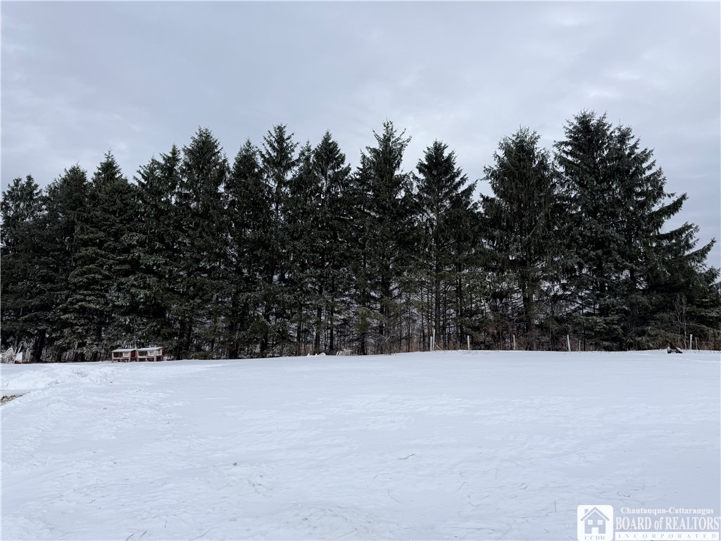 8845 Liebler Hill Road Little Valley, NY 14755 - Photo 35 of 36