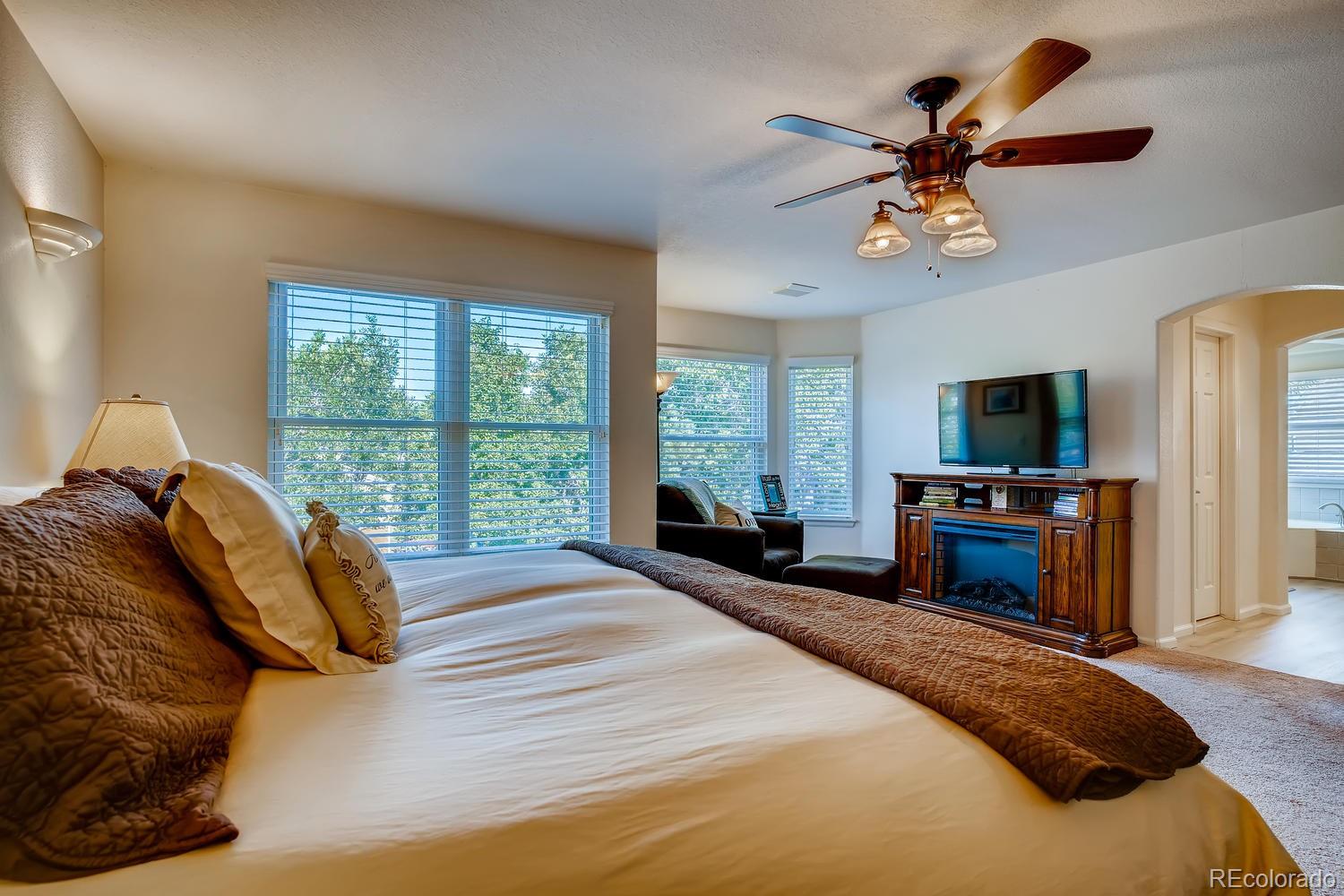 10109 Alexa Lane Highlands Ranch, CO 80130 - Photo 19 of 38 Gallery Image 19
