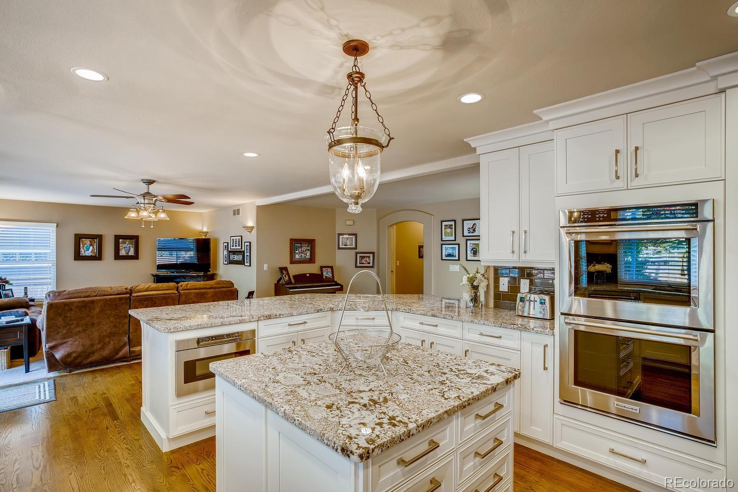 10109 Alexa Lane Highlands Ranch, CO 80130 - Photo 6 of 38 Gallery Image 6