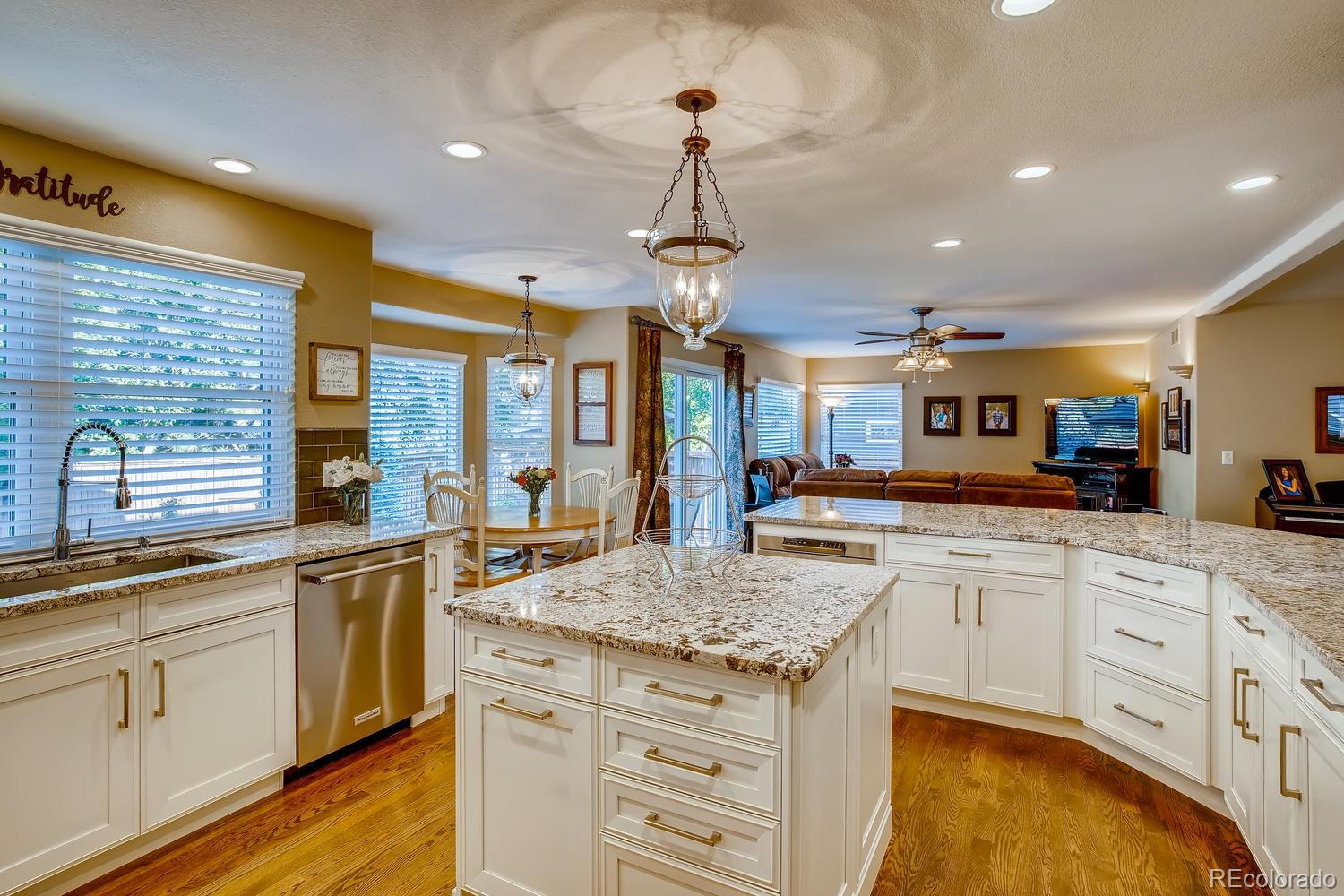 10109 Alexa Lane Highlands Ranch, CO 80130 - Photo 7 of 38 Gallery Image 7