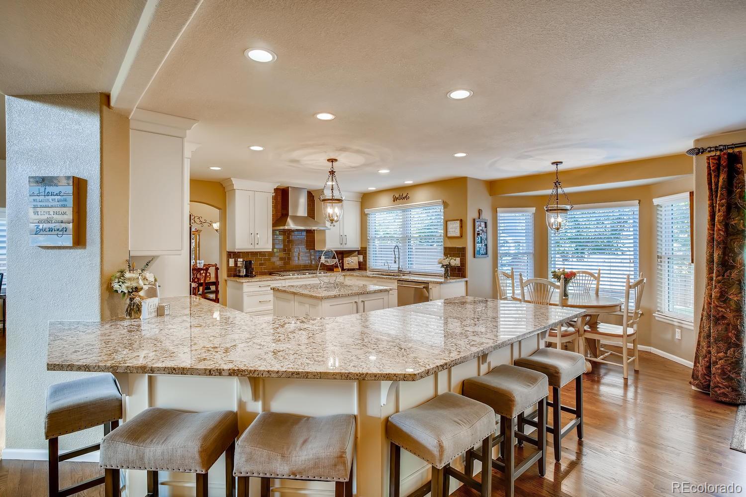 10109 Alexa Lane Highlands Ranch, CO 80130 - Photo 8 of 38 Gallery Image 8