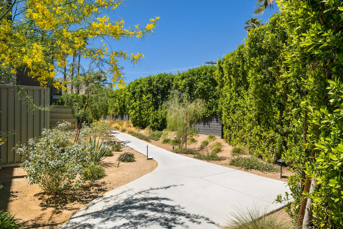 211 The River Palm Springs, CA 92262 - Photo 18 of 21 a view of a backyard of a house