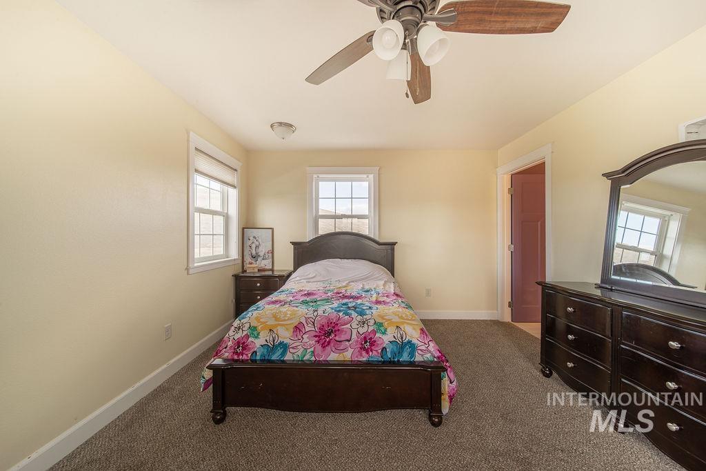 19809 Tammany Creek Road Lewiston, ID 83501 - Photo 29 of 50 Carpeted bedroom with baseboards and ceiling fan