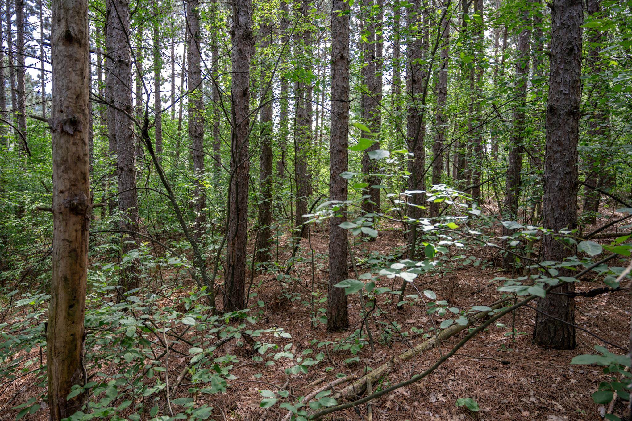 2.08-ac Clearview Nekoosa, WI 54456 - Photo 11 of 45