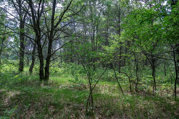 $169,400 | 2.08-ac Clearview, Nekoosa, WI 54456
