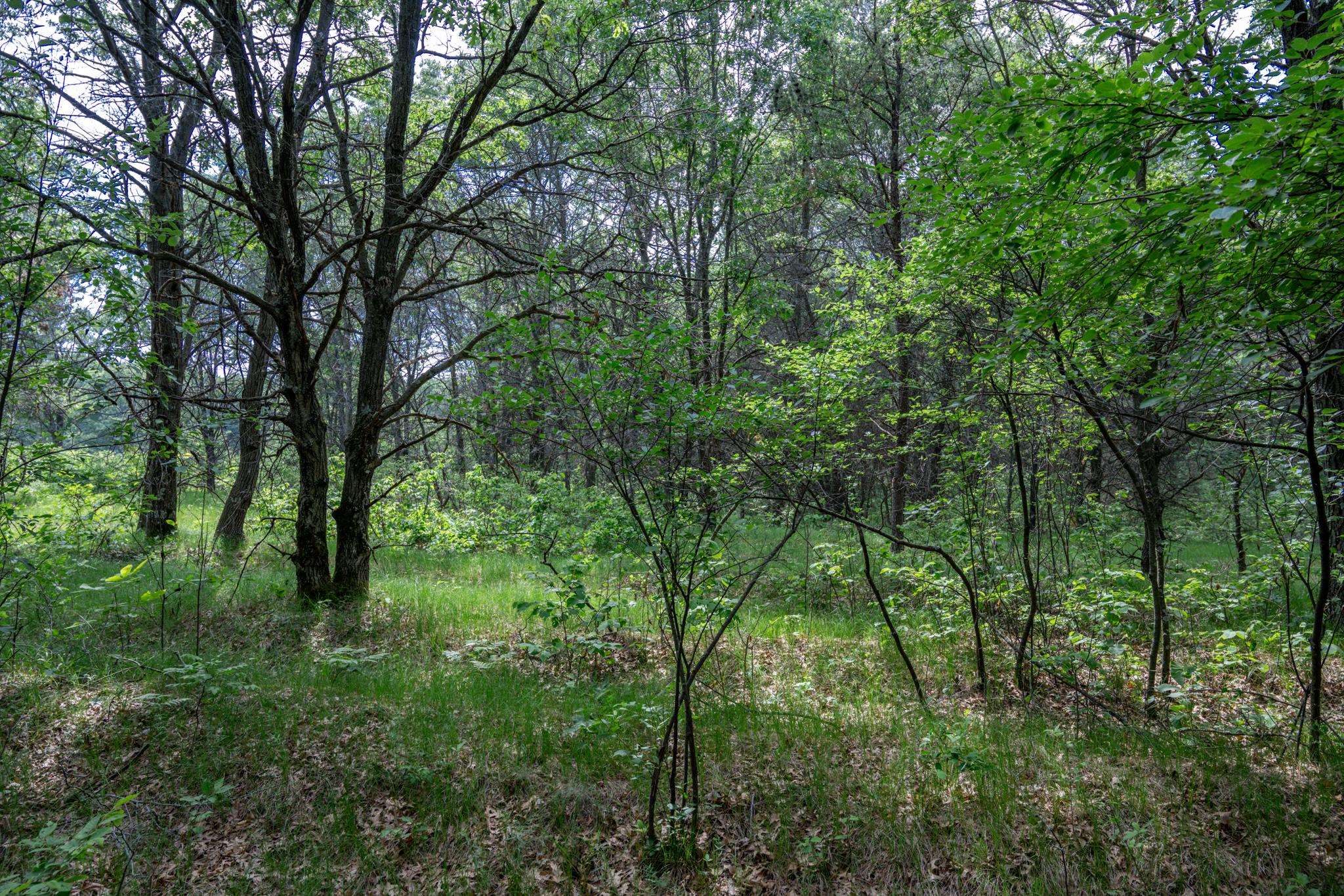 2.08-ac Clearview Nekoosa, WI 54456 - Photo 12 of 45