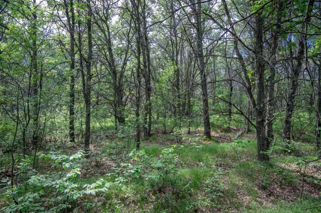 $169,400 | 2.08-ac Clearview, Nekoosa, WI 54456